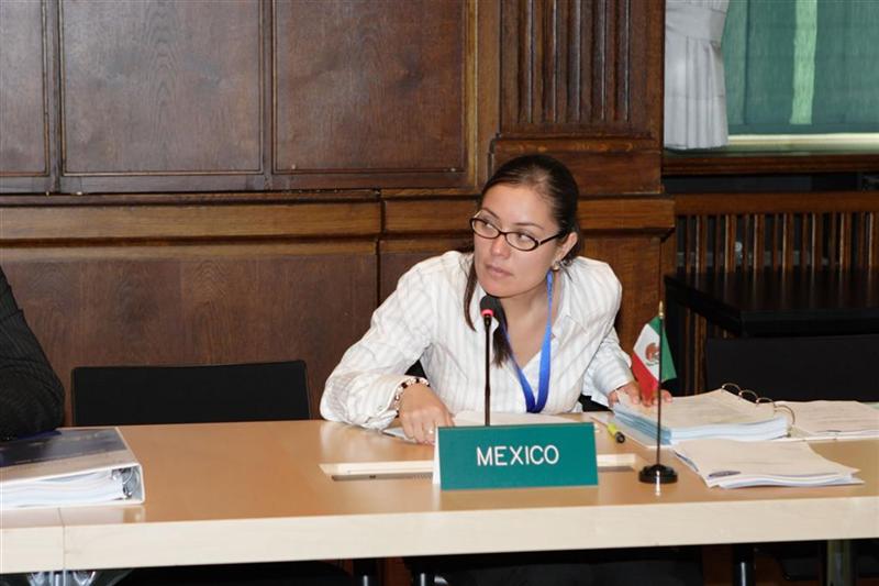 Representative from Mexico